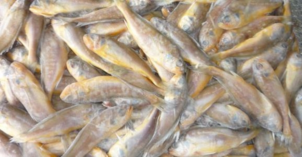 【進(jìn)口水產(chǎn)品清關(guān)代理公司】告訴你水產(chǎn)品進(jìn)口流程 進(jìn)口水產(chǎn)品清關(guān)代理公司