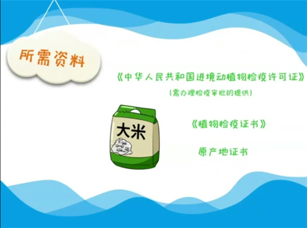 1614941937504638.png 進口食品報關(guān)